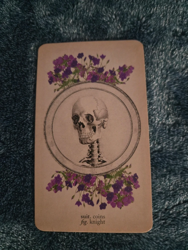 GIF uploaded by Jonathan