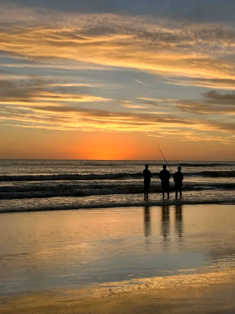 GIF uploaded by N A T