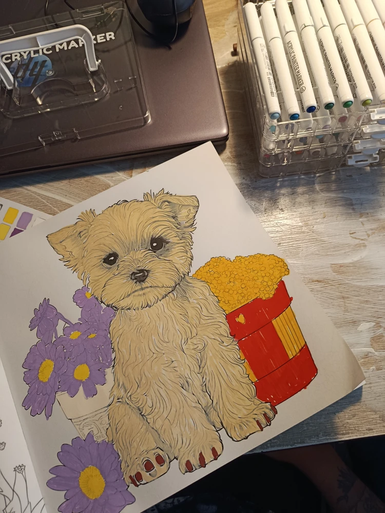 Zdjęcie dodane przez Monika