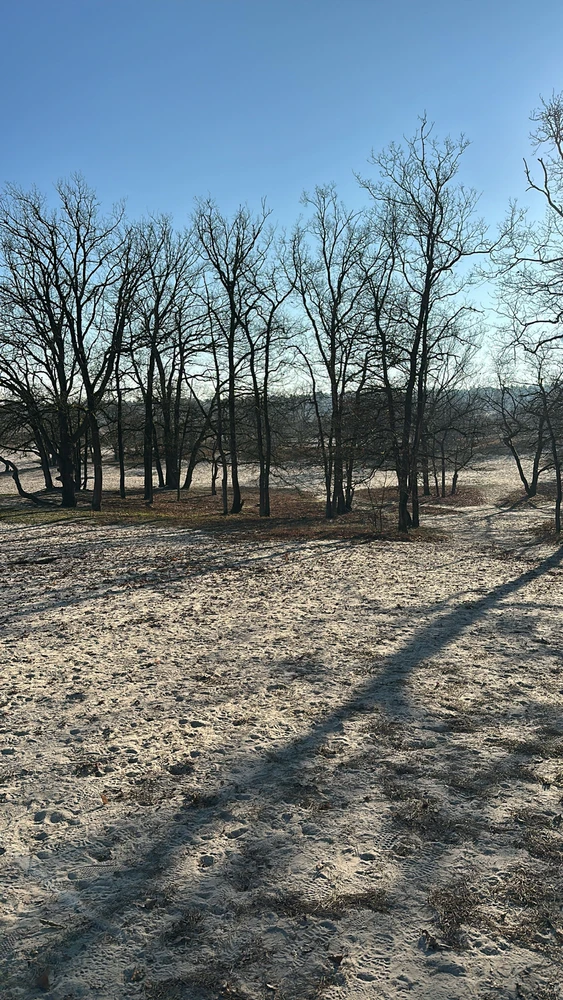 Image uploaded by Fabio