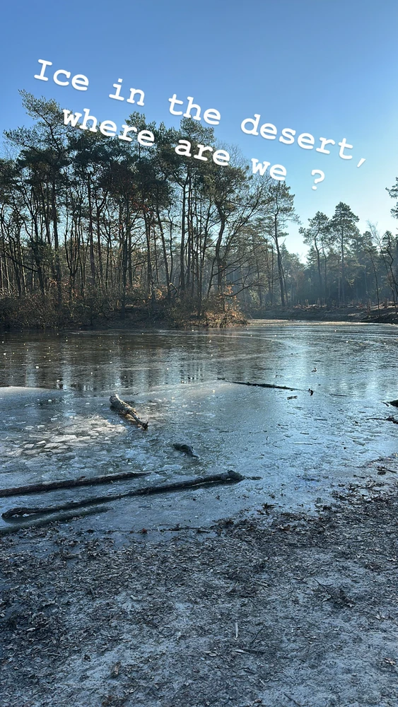 Image uploaded by Fabio