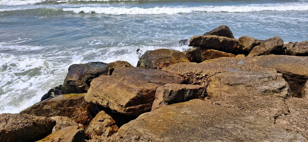 Imagen subida por Sofía