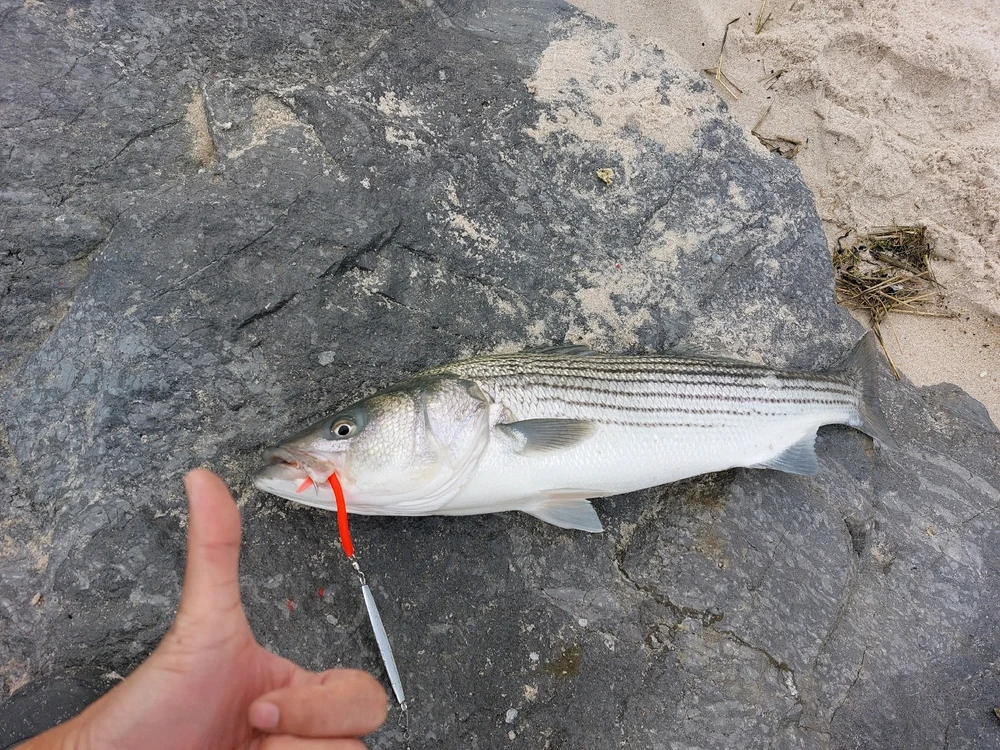 GIF uploaded by Waynez