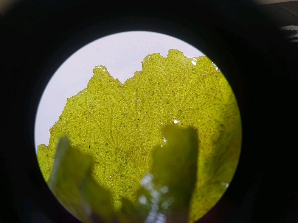 Imagen subida por Mila