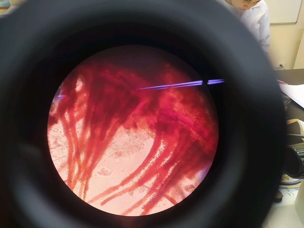 Imagen subida por Mila