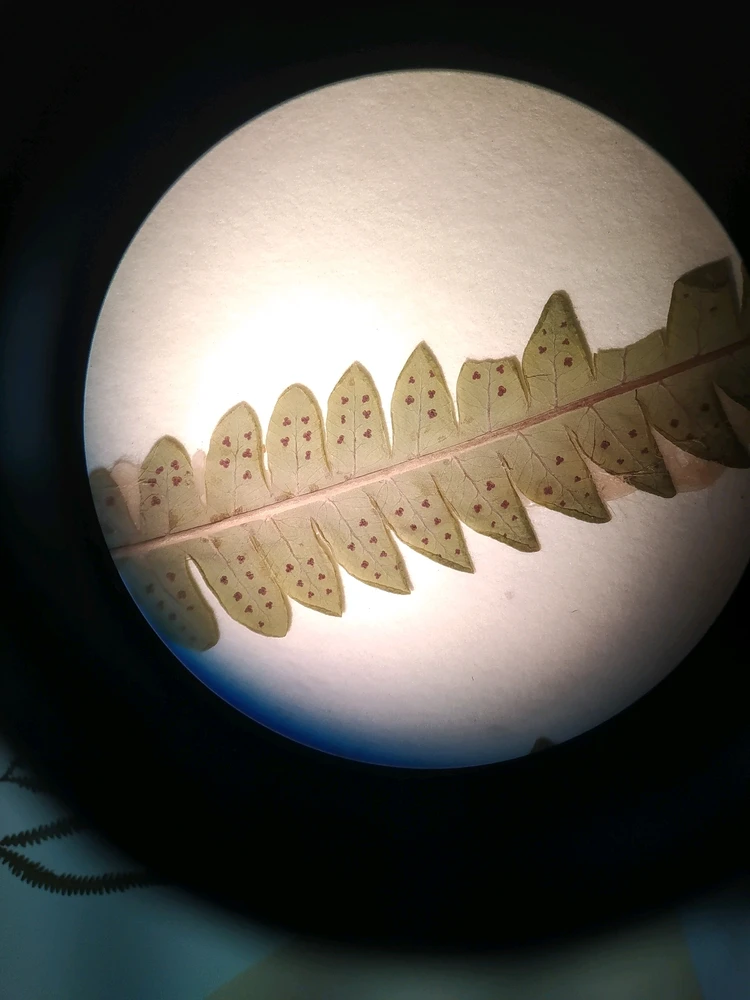 Imagen subida por Mila