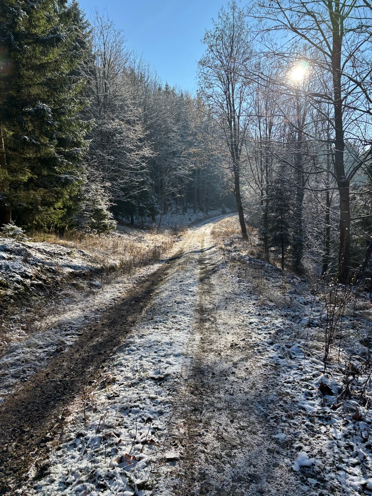 Obrázek nahrál Michaela
