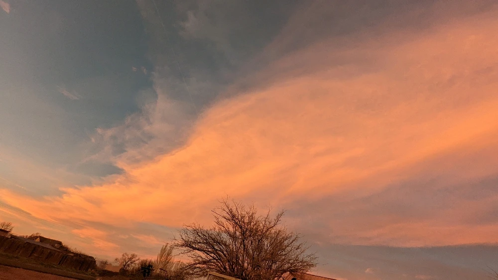 GIF uploaded by Sarah