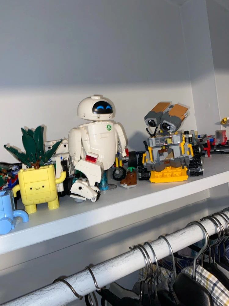 Image uploaded by Lucas