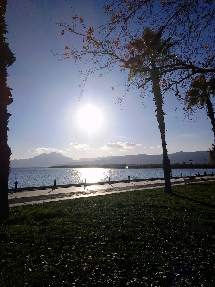 Thomas Anderson tarafından yüklenen GIF