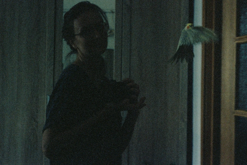 Image uploaded by Alyona