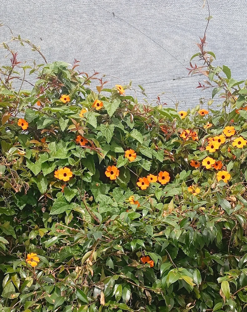 GIF subido por Yariel