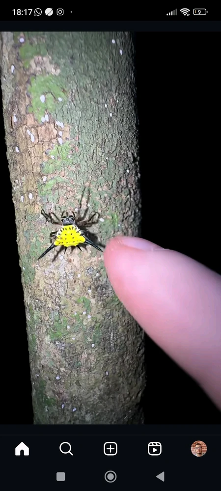 GIF enviado por Abraão