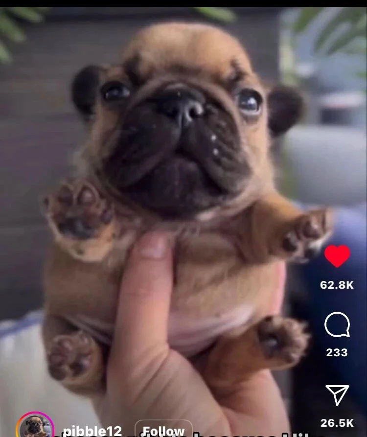 GIF uploaded by Lucas