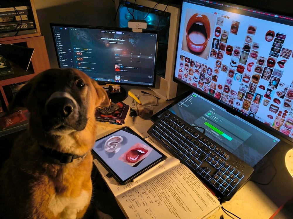 GIF uploaded by Nojo Jojo