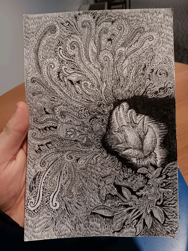 GIF uploaded by Alex