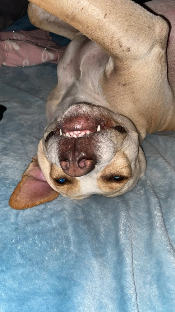 Image uploaded by Hailey