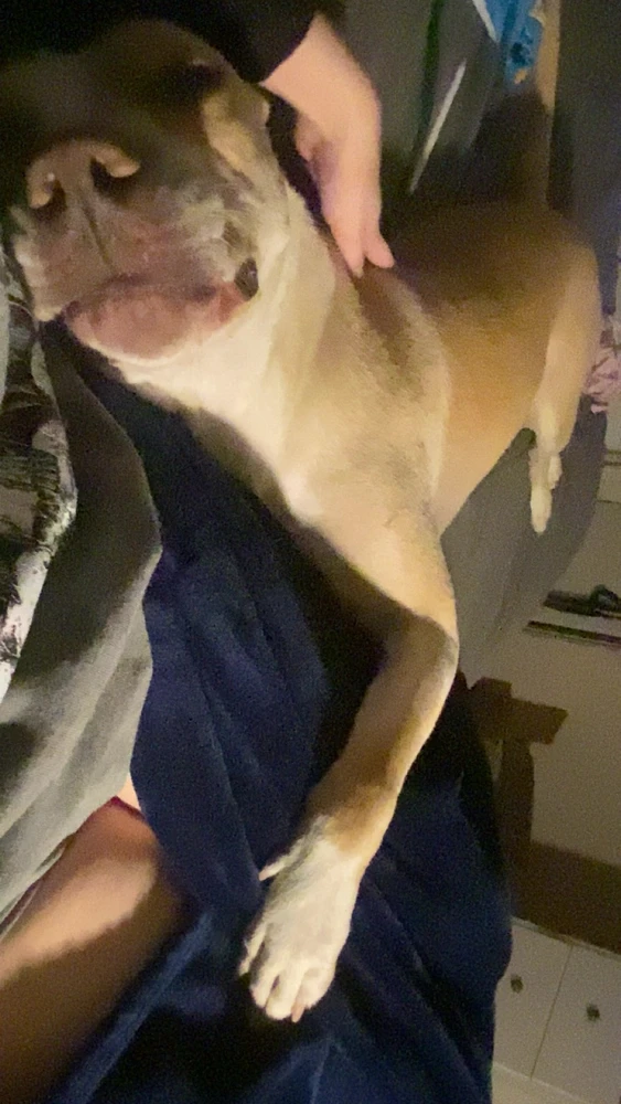 Image uploaded by Hailey