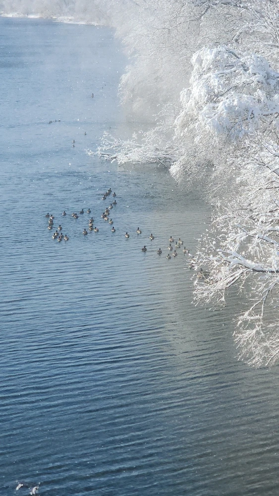 Gambar diunggah dening Jordan