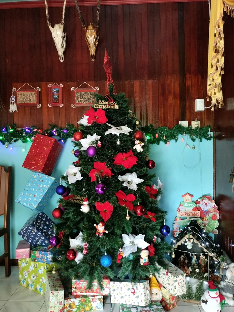 Gambar diunggah oleh Ria