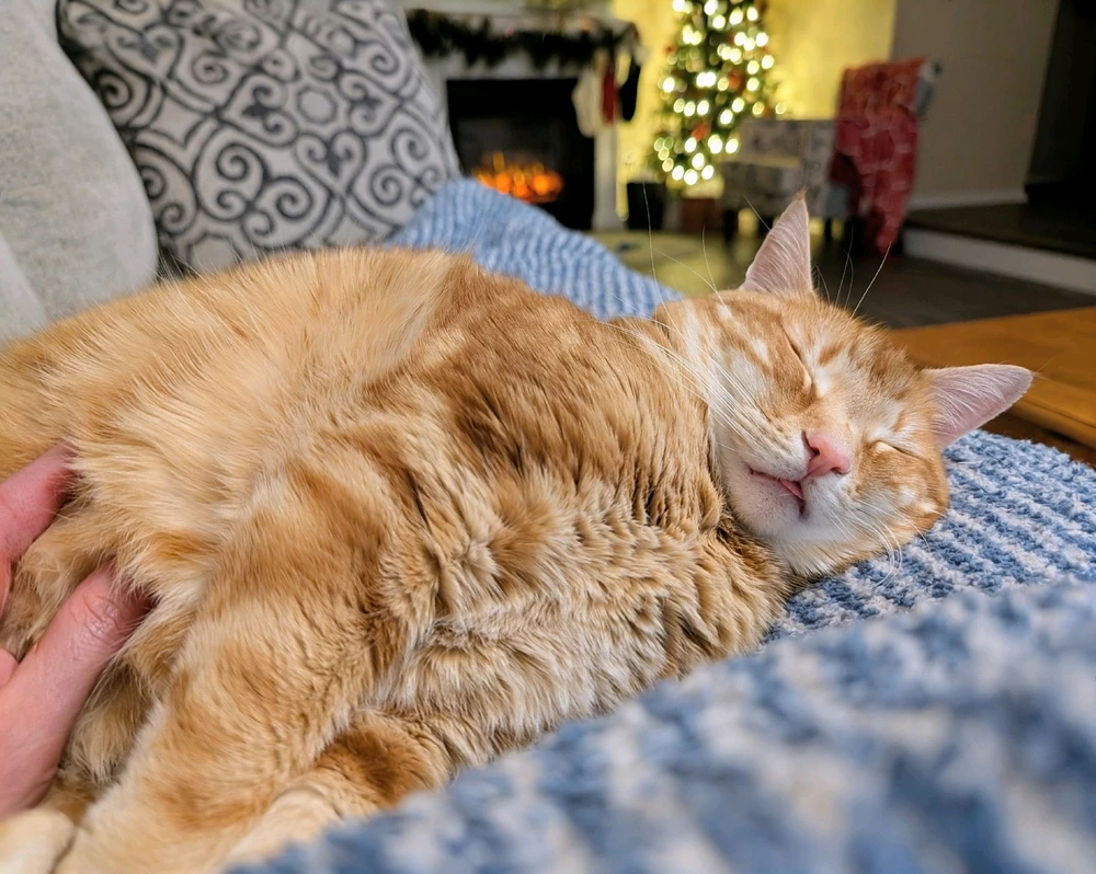 GIF uploaded by Melissa