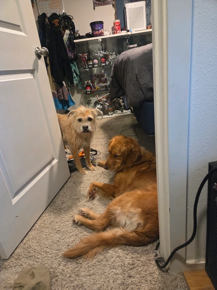 GIF uploaded by Elijah Walker