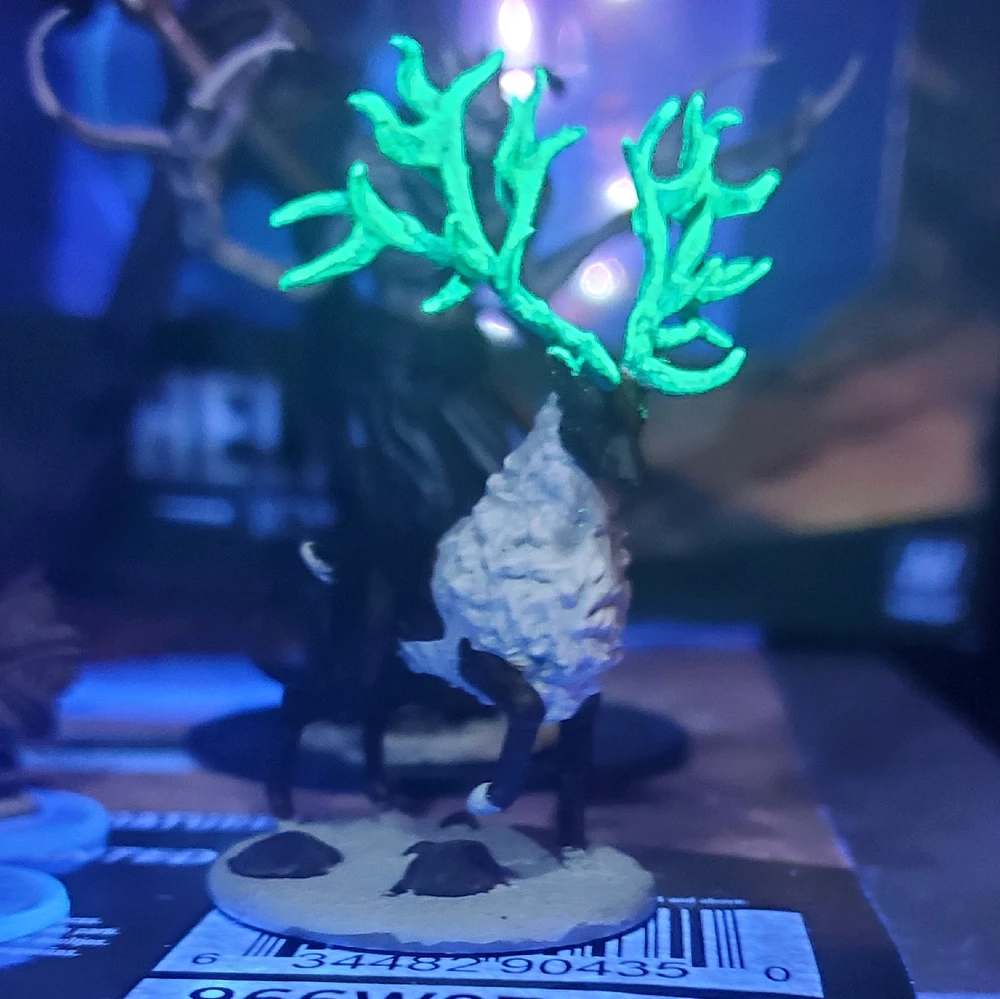 Image uploaded by Corey