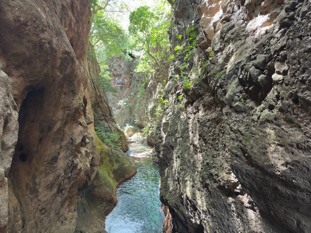 Image uploaded by Ace