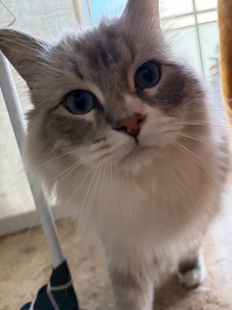 Image uploaded by Frederick