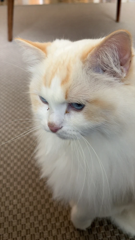 Image uploaded by Frederick