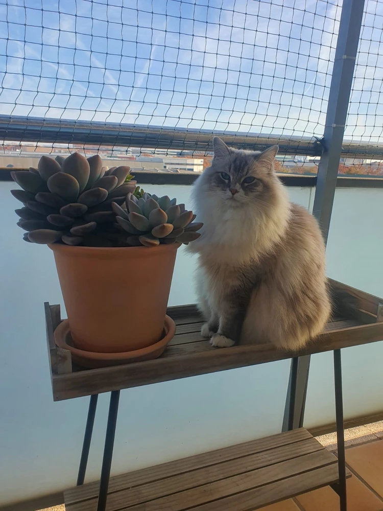 Image uploaded by Frederick