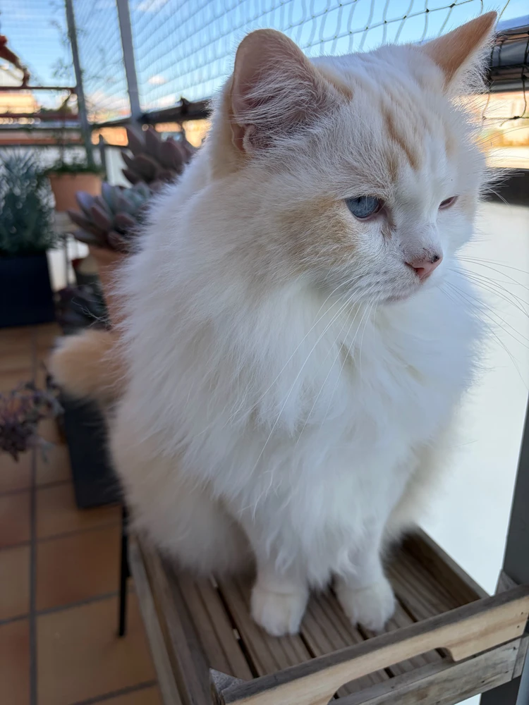 Image uploaded by Frederick