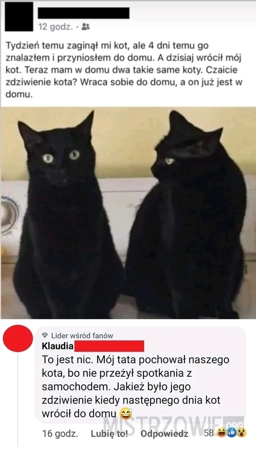 GIF dodany przez Paweł