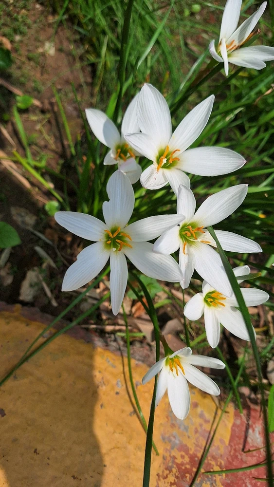 GIF diunggah dening Jay