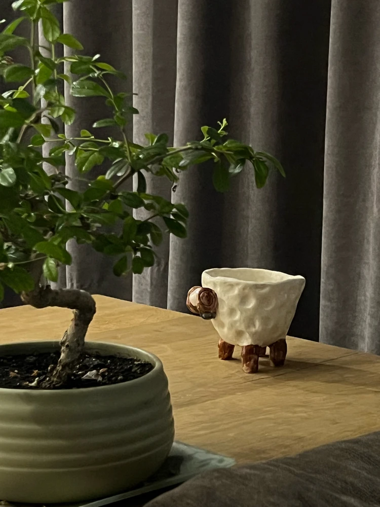 Gambar diunggah dening Нора