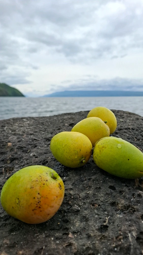 Image uploaded by Lena