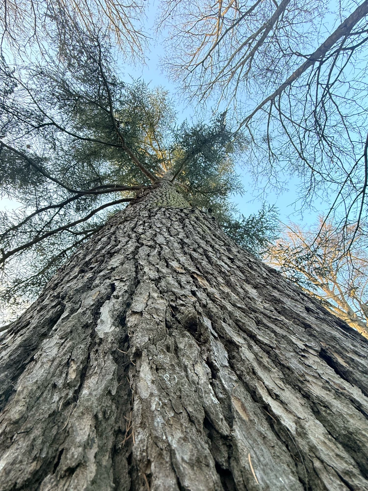 GIF ajouté par Sophie