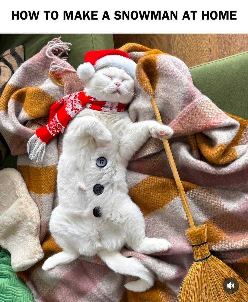 GIF diunggah dening Svetlana