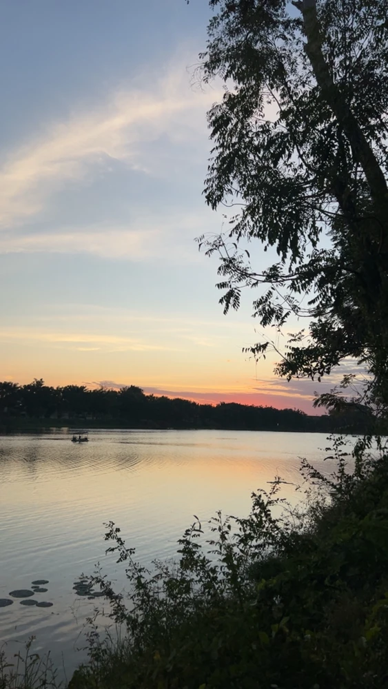 GIF uploaded by Song