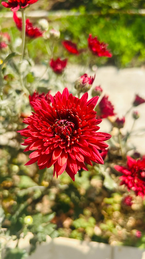 Image uploaded by Pratz