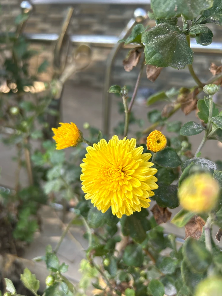 Image uploaded by Pratz