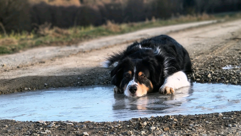 GIF hochgeladen von Michael