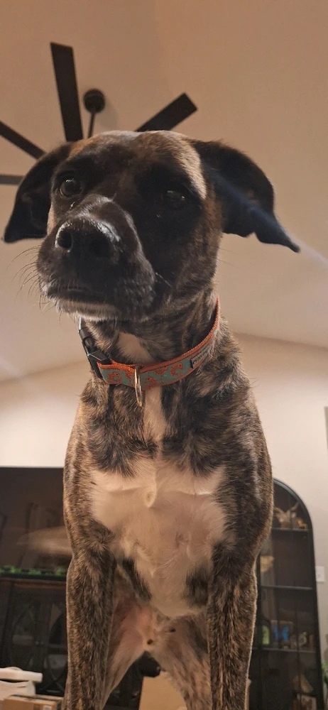 GIF uploaded by Jessica