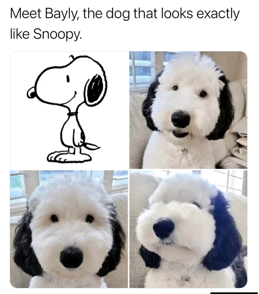 GIF uploaded by Georgina