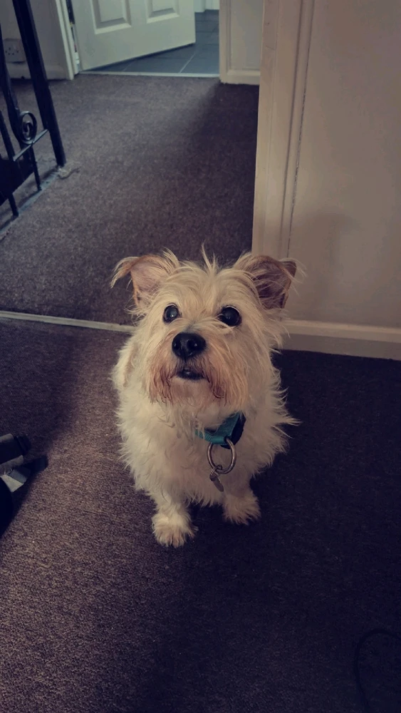 Gambar diunggah dening Shane