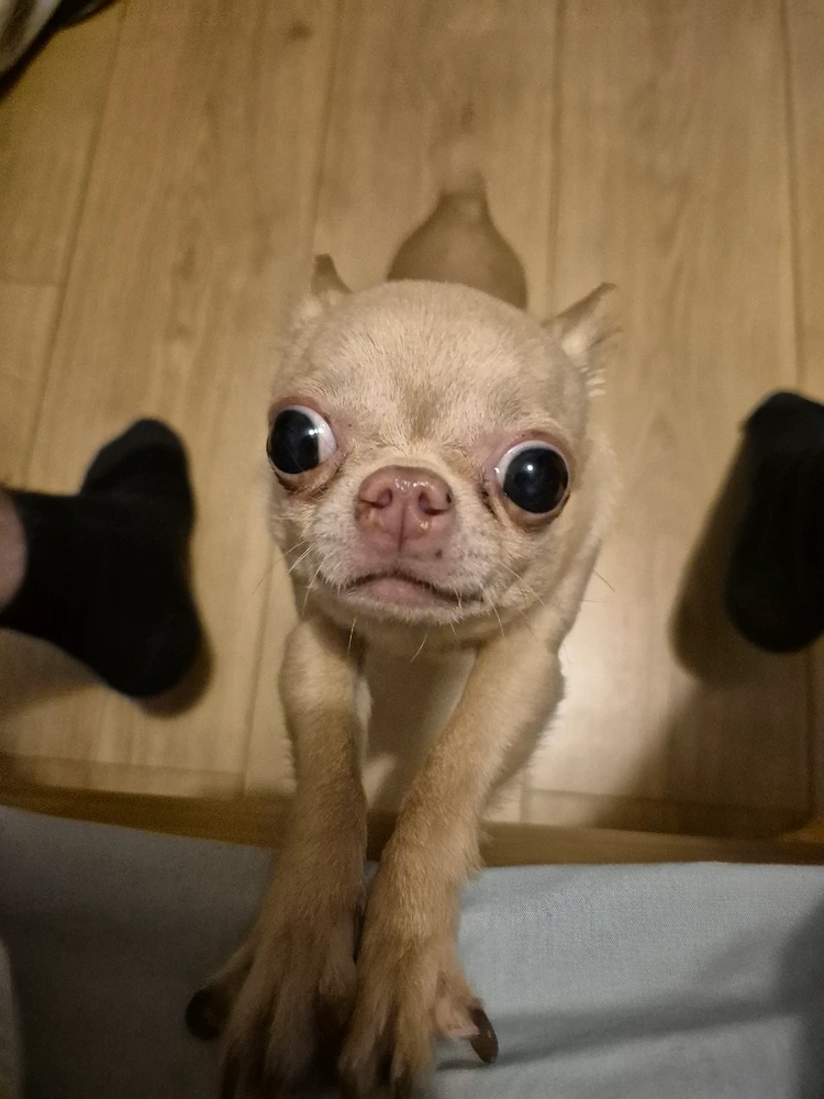 Gambar diunggah dening Shane