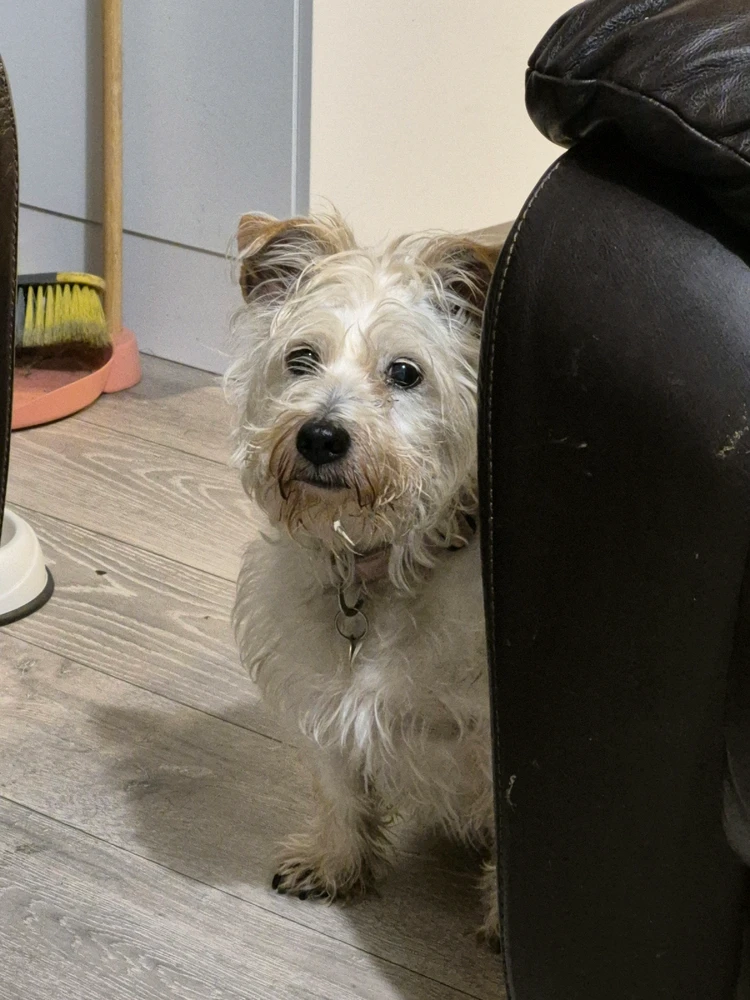 Gambar diunggah dening Shane