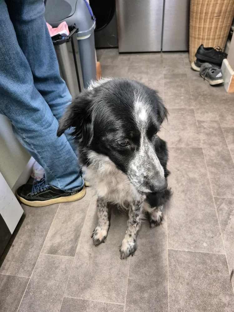 Gambar diunggah dening Shane