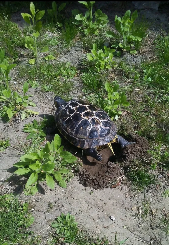 GIF dodany przez Grzesiek