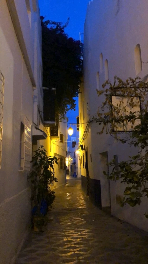 GIF subido por Elizabeth